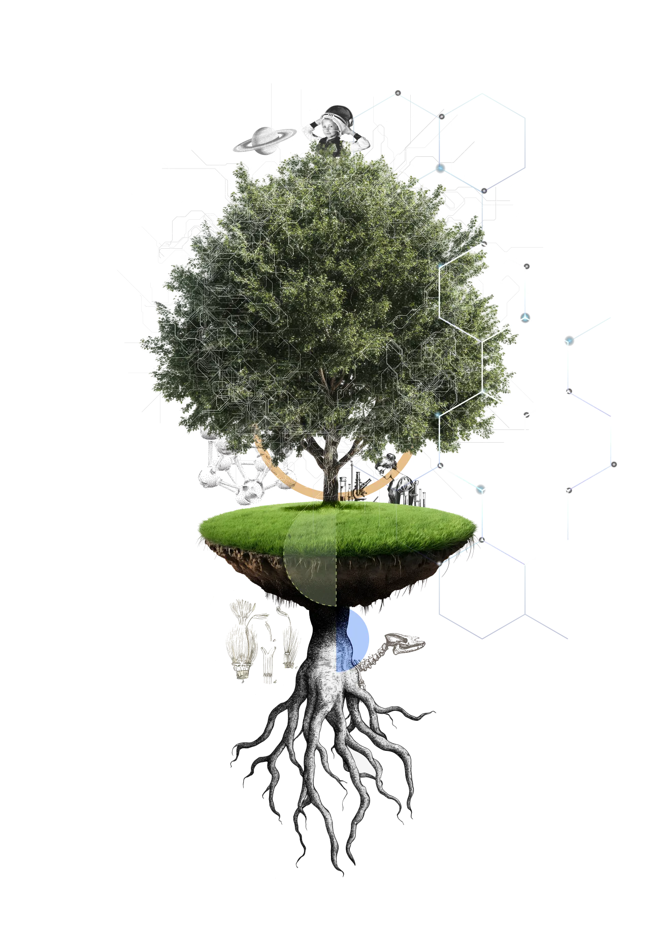 Árbol que reúne referencias visuales a la historia, el presente y el futuro de la ciencia